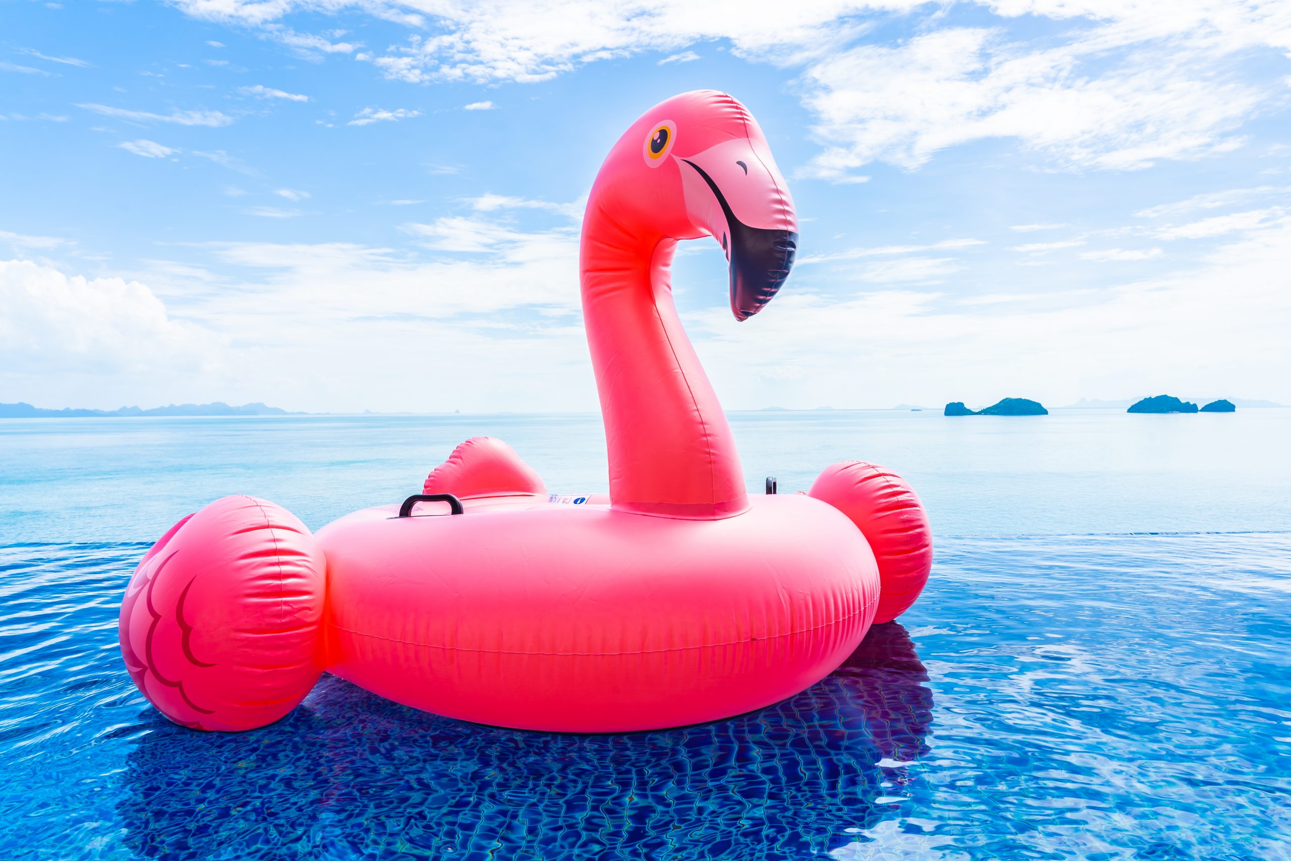 The Top 10 Swimming Pool Accessories You Need This Summer Daily Deep End   Beautiful Outdoor Swimming Pool Hotel Resort With Flamingo Float Around Sea Ocean White Cloud Blue Sky Scaled 